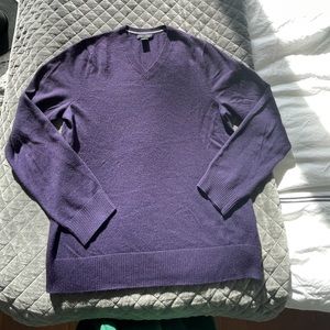 Banana Republic extra fine merino wool sweater v-neck eggplant aubergine